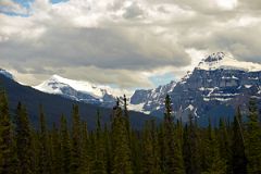 19-S White Mountain and Epaulette Peak In Summer From Icefields Parkway.jpg